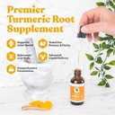 Liquid Turmeric Root Extract with Curcumin for Joint Health - Rejuvica Health Essential Turmeric Formula for Better Absorption