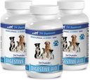 Dog Digestive Aid Probiotics for Bad Breath, Gas, and Diarrhea - Natural Solution - 3 Bottles (180 Treats)