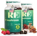 Organic Magic Mushroom Gummies for Adults - Lion's Mane Supplement for Cognitive & Immune Support - Energy Boost & Mood Enhancer - 2 Pack